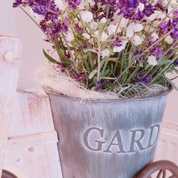 41027620_694488874247602_224367017073836032_n