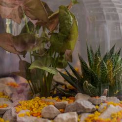 41162183_845471765843600_1380576525304201216_o