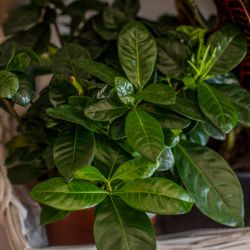 41292292_845470815843695_9070188514959687680_o