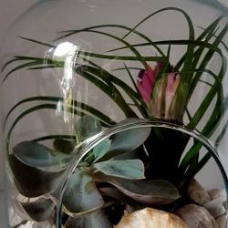 42292505_982320881962985_5096130695596605440_n