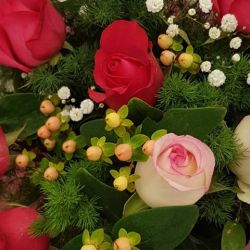 42756565_859168764473900_1746097874489311232_n