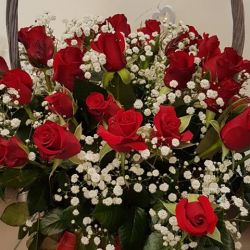 42758726_1844047382353892_8548027200228556800_n