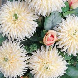 43744321_866365580420885_7799804581134729216_n