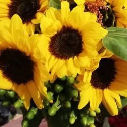 43773423_277577873086944_7753927458465775616_n