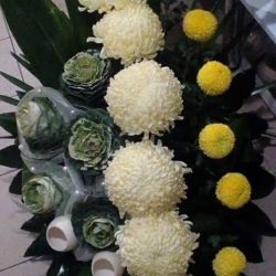 45099859_878658909191552_2816528643776315392_n