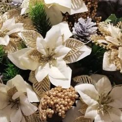 48045755_907584626298980_4889937643657232384_n