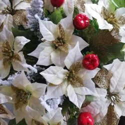 48382487_907584852965624_4207672983356964864_n