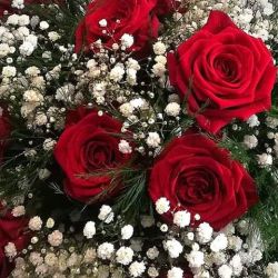 50283443_934269090297200_2649470912931299328_n