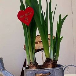 50291364_931971143860328_7013480413804888064_n