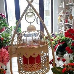 51571767_948703602187082_1932591882831921152_n